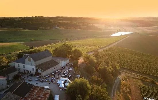 Domaine De Long-pech