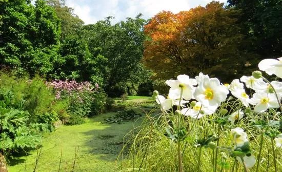 Trewidden Garden