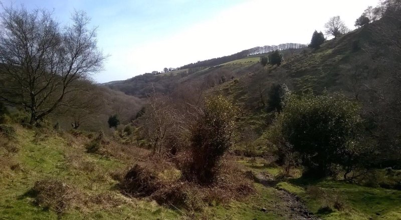 Croft Holiday Cottages