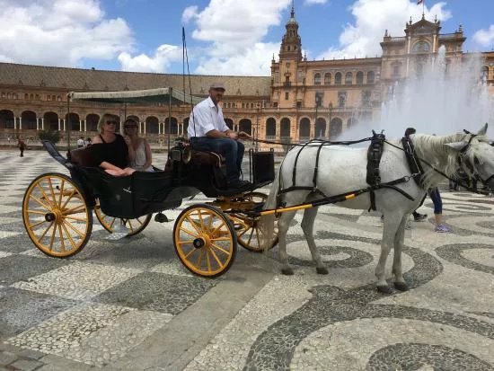 Horse & Carriage Tour