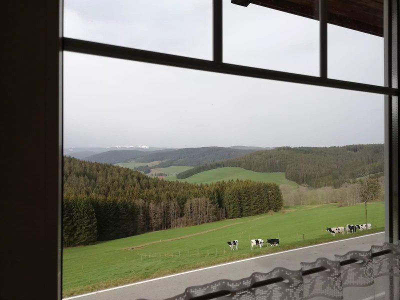 Pension Forsthaus Tale