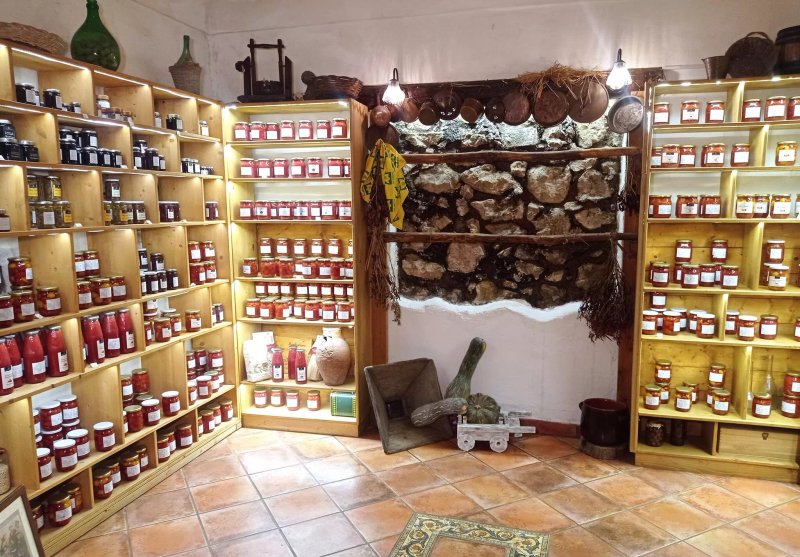 Agriturismo Antico Pozzo degli Ulivi