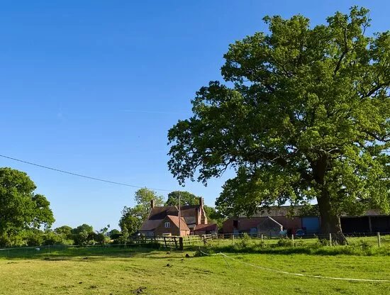 Nature Way Farm Shop