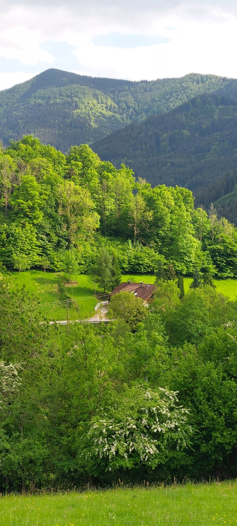 Trenklehof