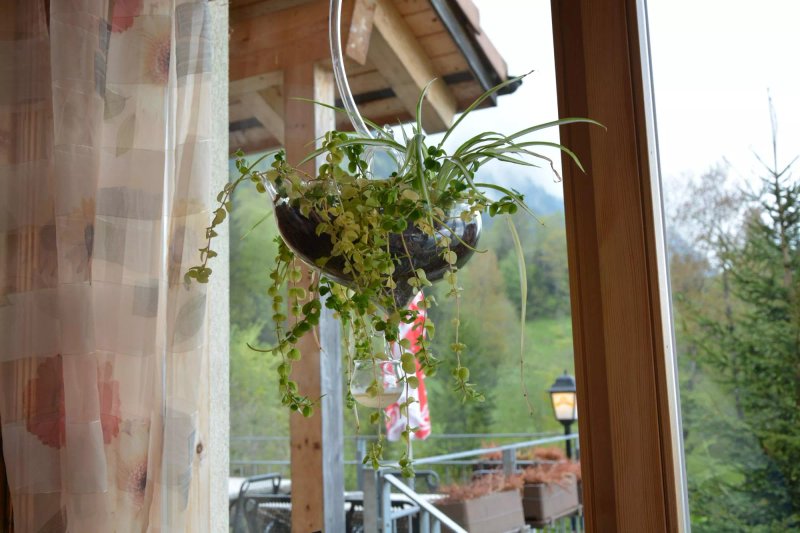 Gasthaus Zwirgi