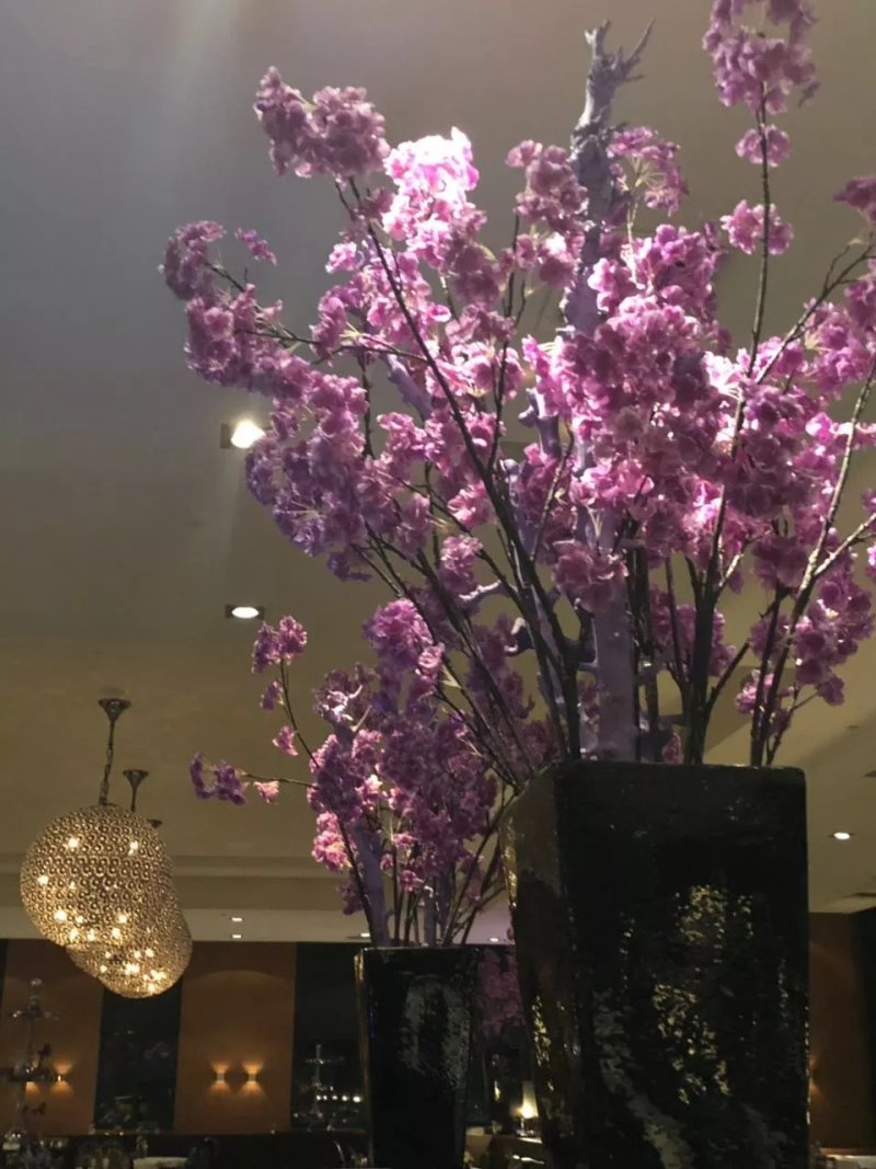 Van der Valk Hotel Houten - Utrecht Restaurant