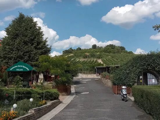 Europe Center Cellar Wine Bar and Guesthouse