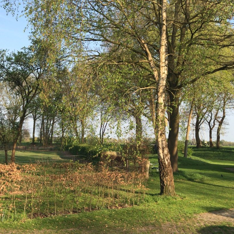 B&B Gastvrij Lenthe