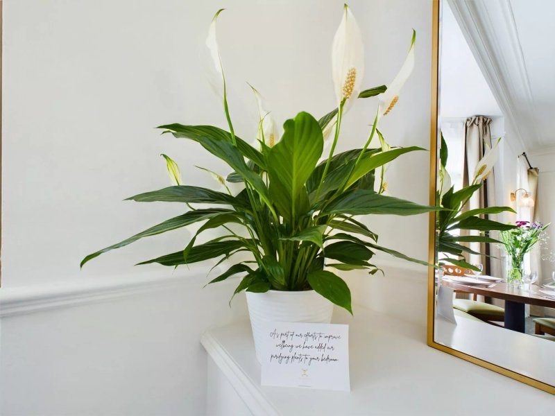 The Briarcroft | Wayth Hotels