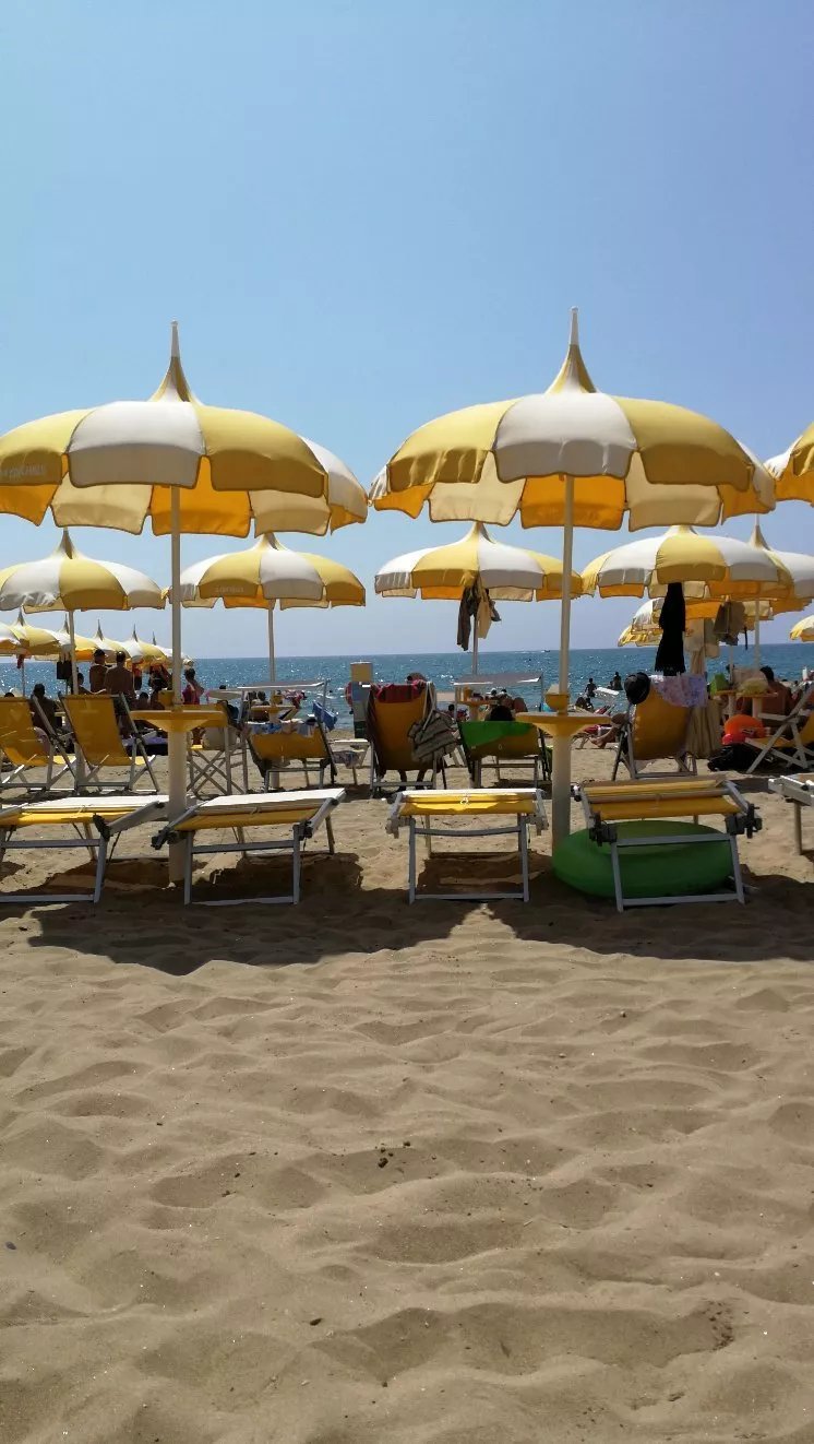 La conchiglia