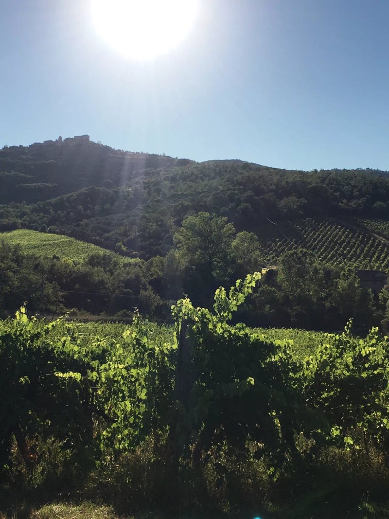 La Collina