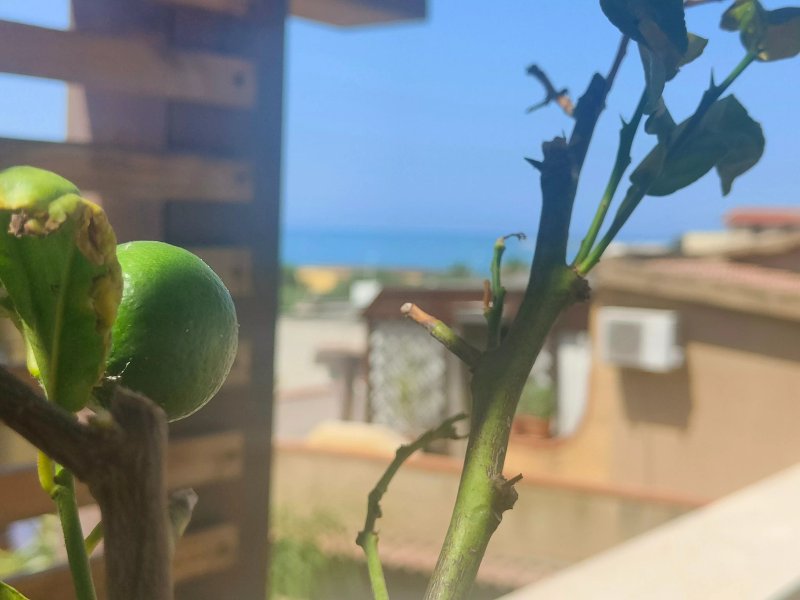 B&B Mare e Templi