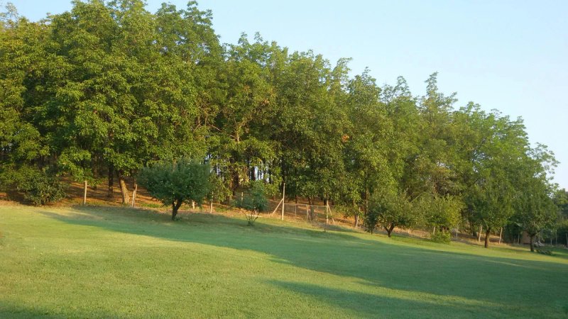 Il Giardino Di Laura B&b