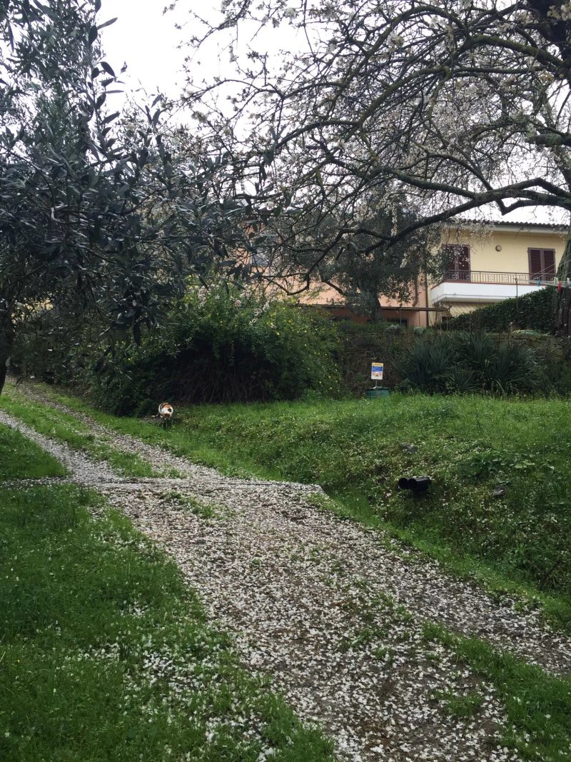 Podere Zollaio