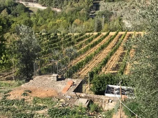 Azienda Agricola Uccelliera