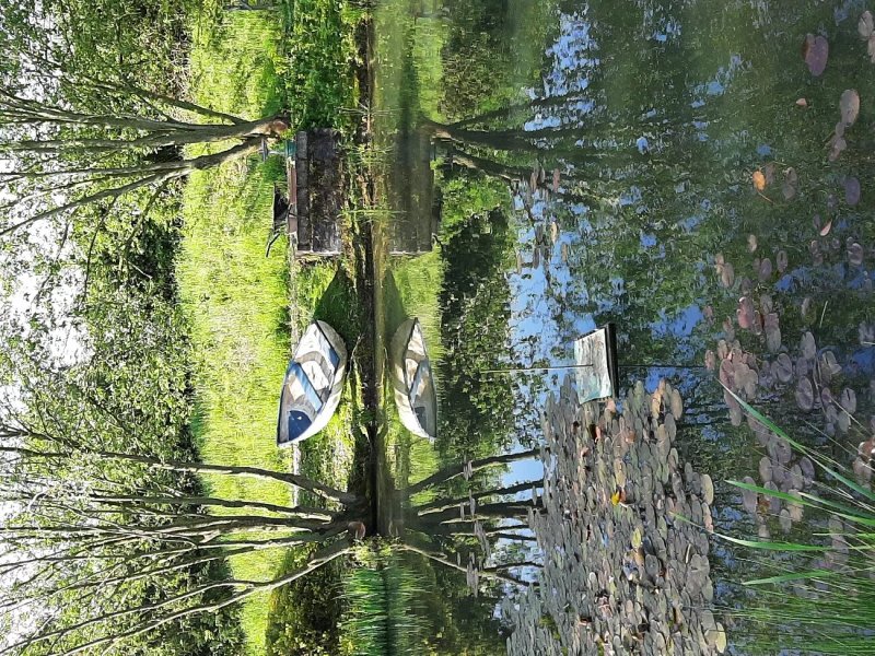 Jayes Holiday Cottages