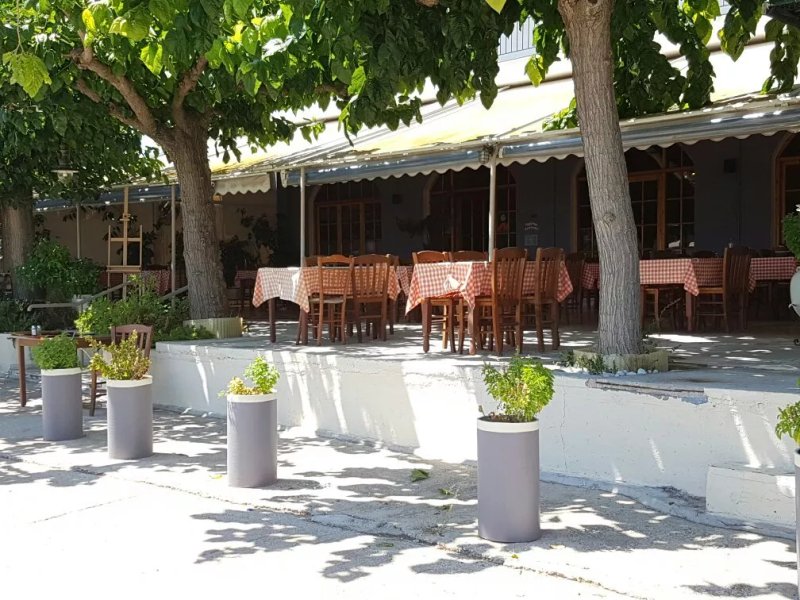 Tavern Gorgona