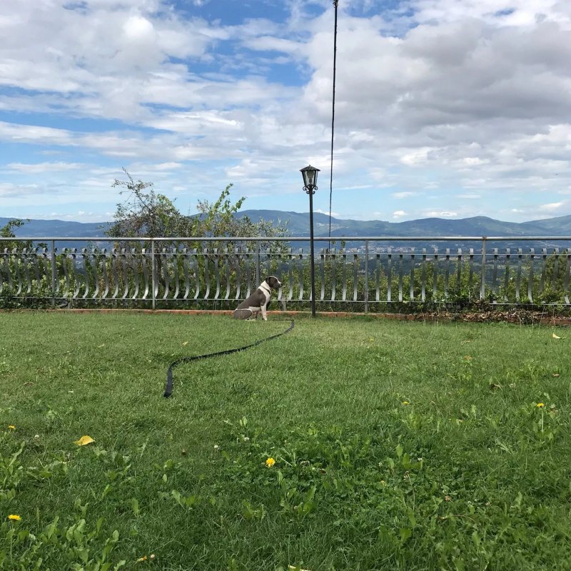 L'Oasi Agriturismo di Marchiani Puzio Carlo