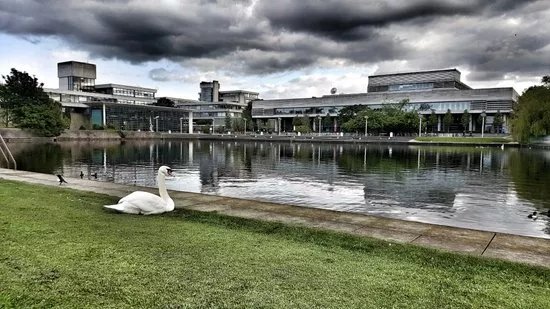 University College Dublin