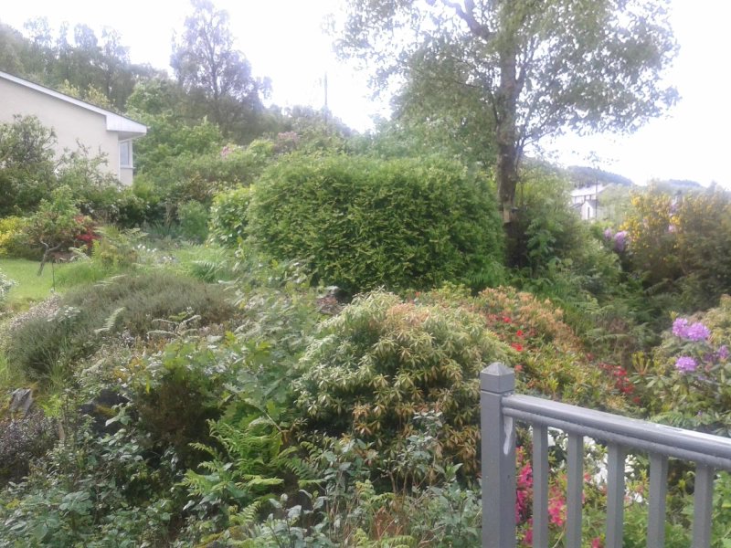 Little Orchard Bed and Breakfast
