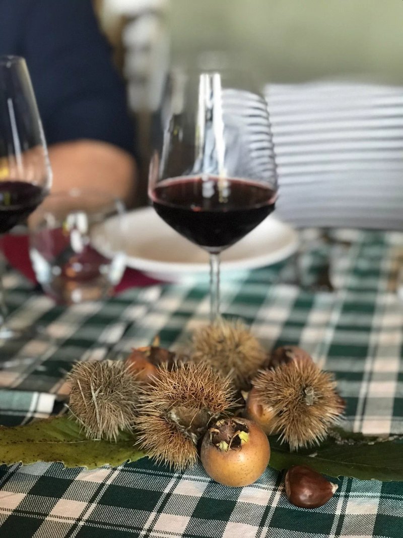 Agriturismo Il Meletto
