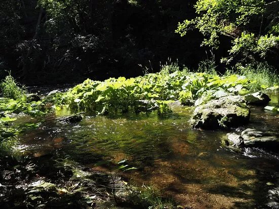 Foto-Wandern.com