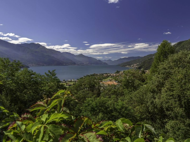 Alto Lago di Como