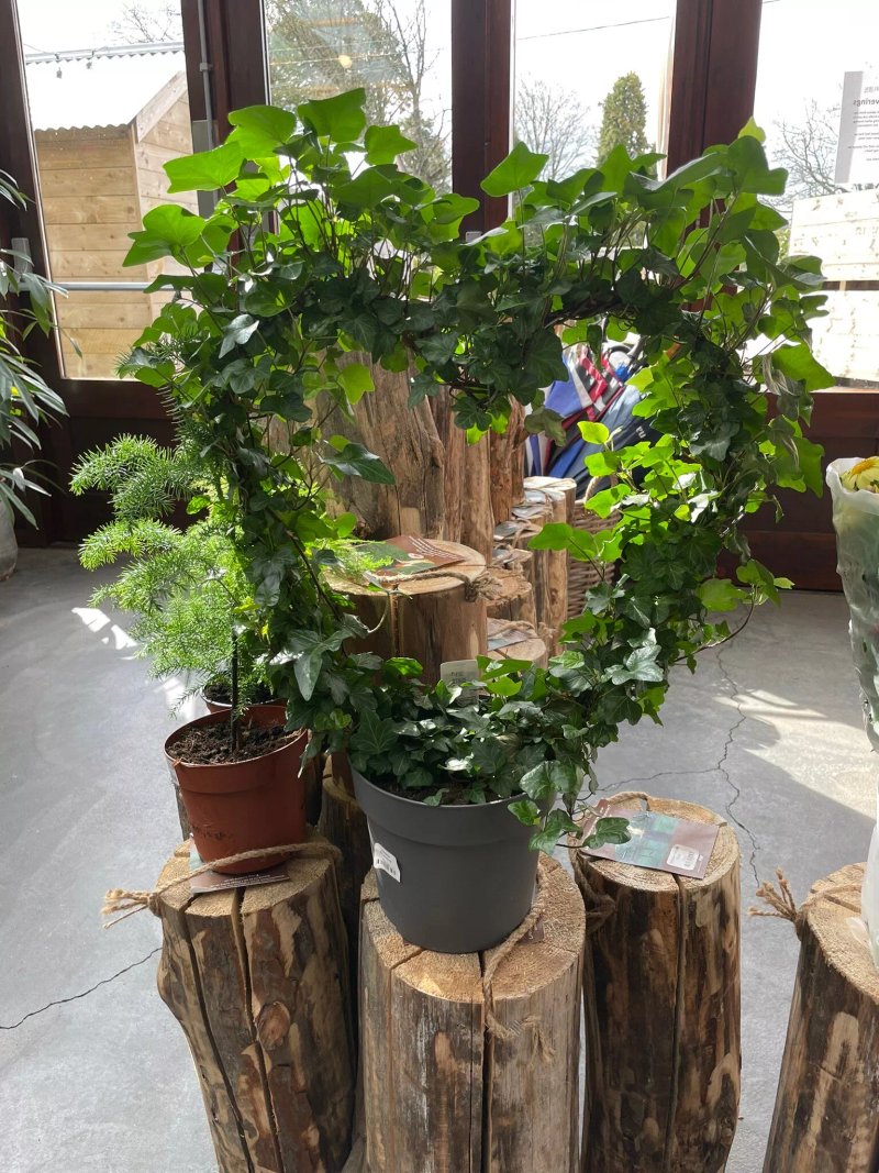 Gloagburn Farm Shop and Cafe