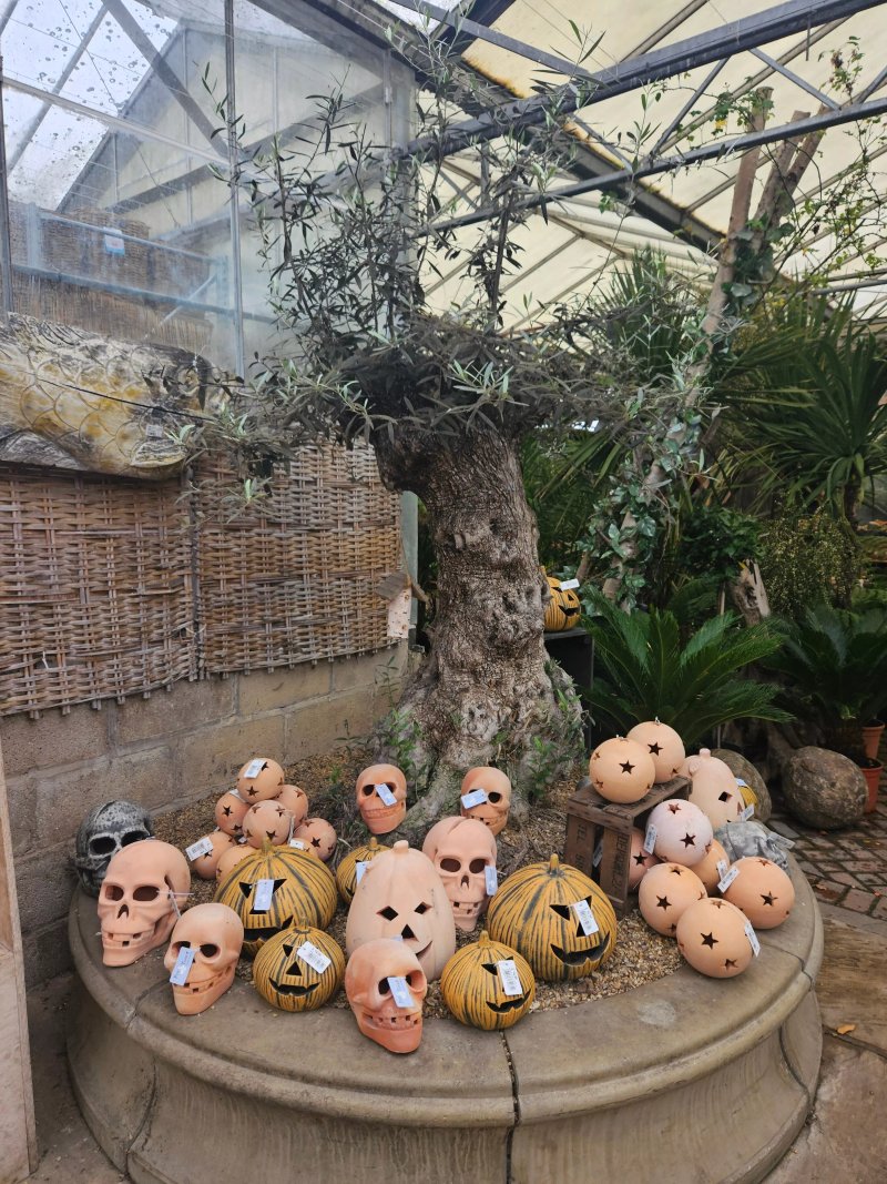 Walker's Nurseries and Garden Centre