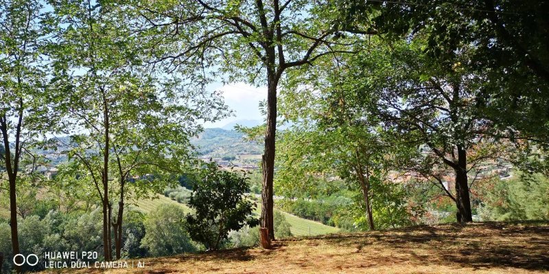 Godere Agricolo