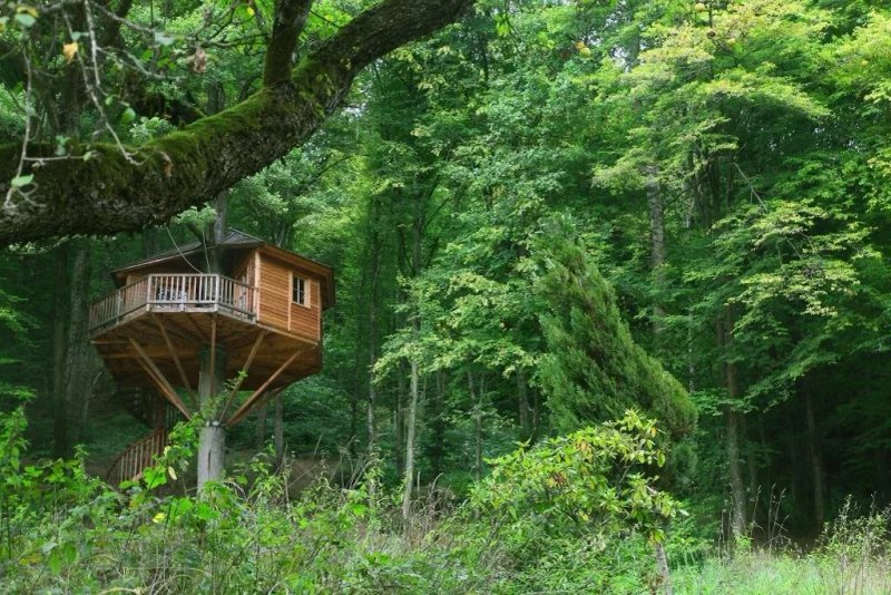 Baumhaushotel Seemuhle