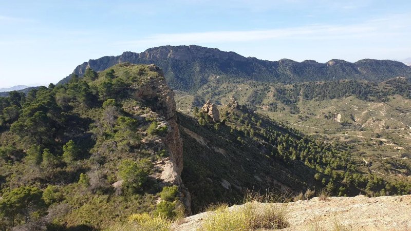 Pico Del Aguila