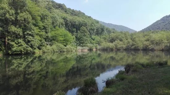 Laghetto di Brinzio