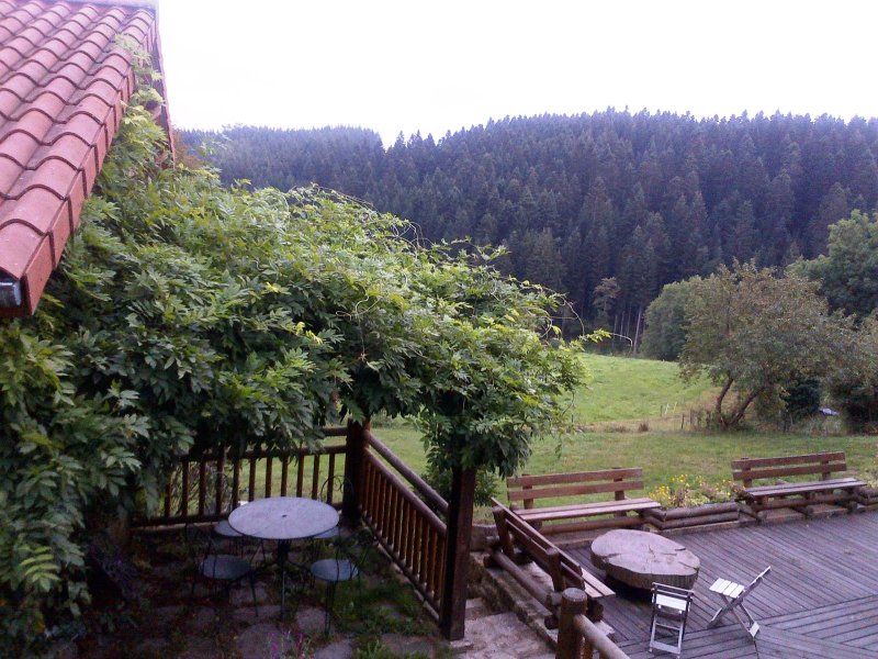 Au dela des bois