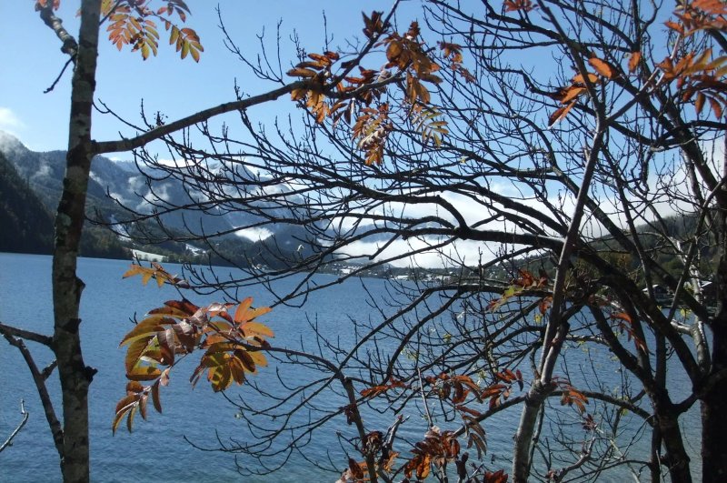 Alpenhof