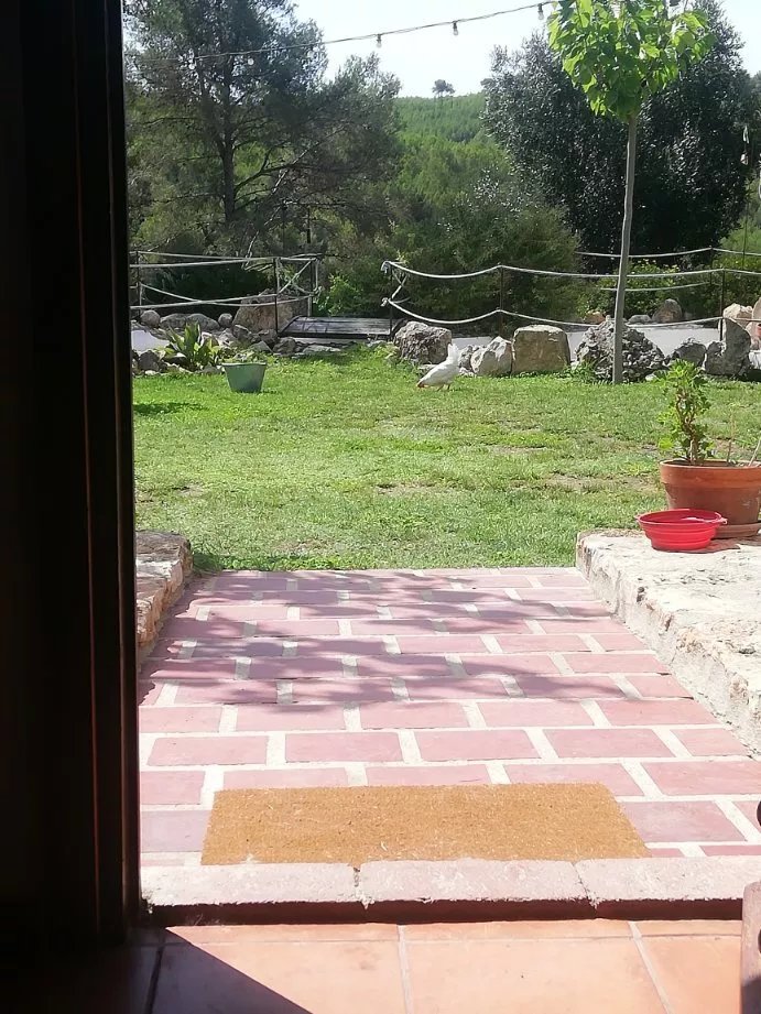 Masia Pou de la Vinya