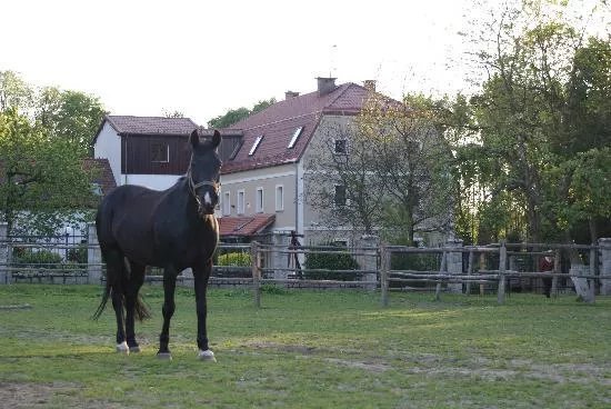 Sleza Mill (Slezanski Mlyn) - Restaurant and Hotel