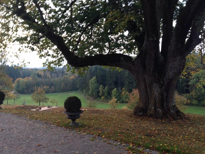 Schloss Freudental