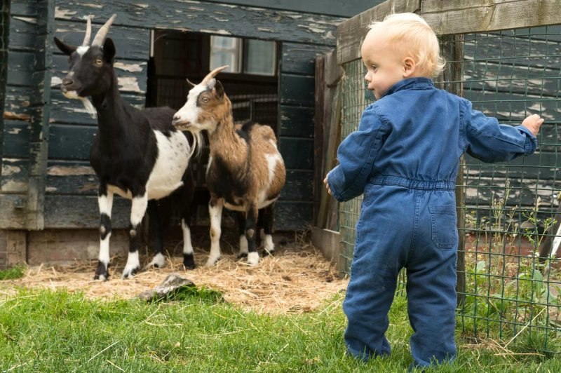 FarmCamps 't Oortjeshek