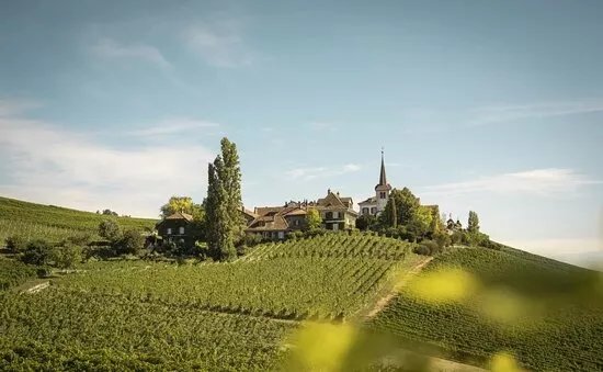 Domaine la Colombe