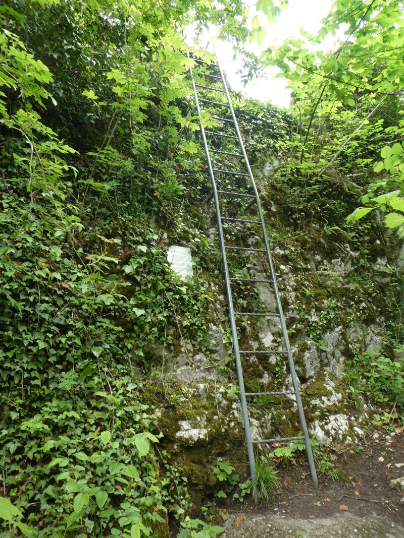 Ruine Engenstein