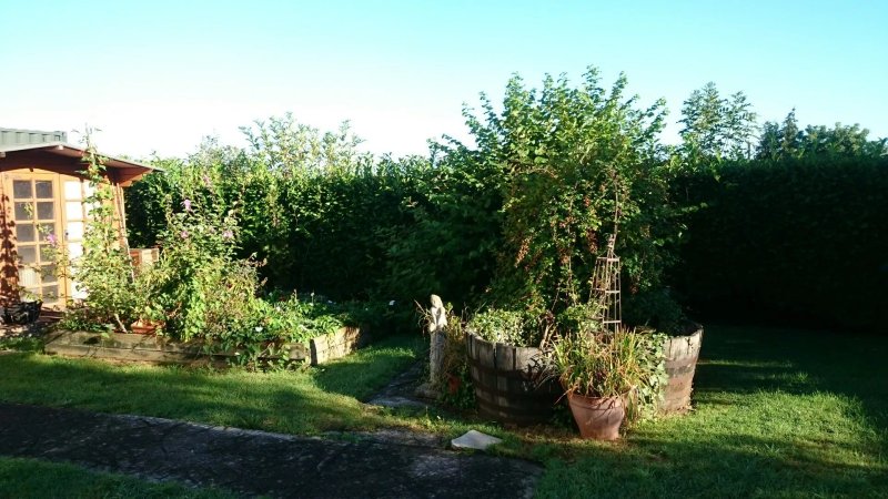 Meare Manor