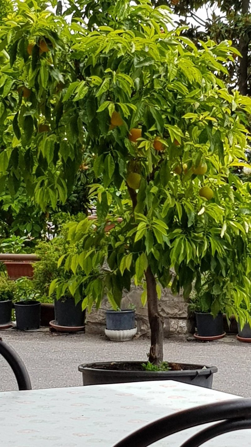 Agriturismo San Pantaleone