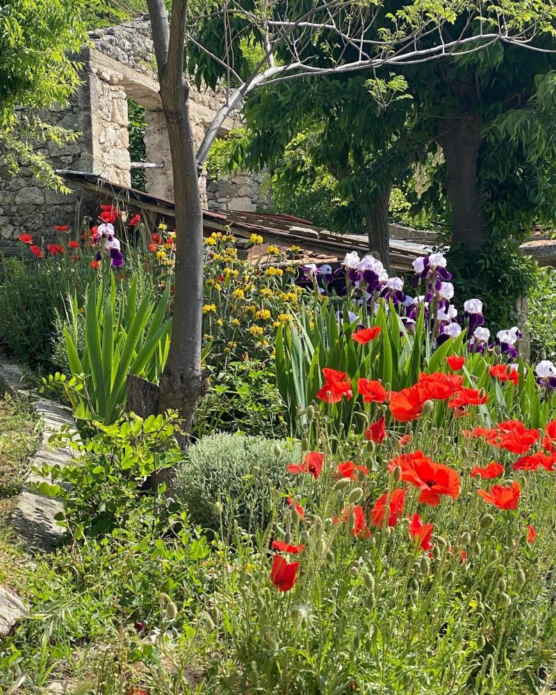 La Vecchia Casa di Barbara Cutts