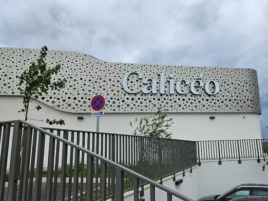 Caliceo