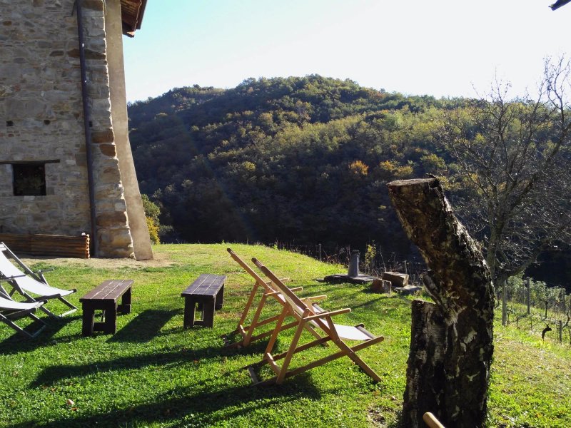 Agriturismo Ronchi Ro delle Fragole