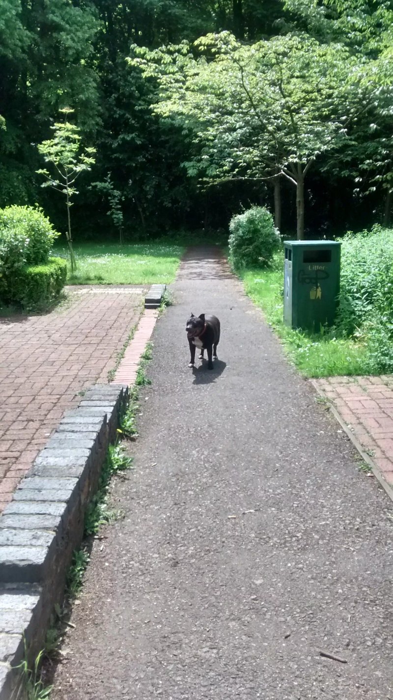 The Secret Garden - Old Wolverton