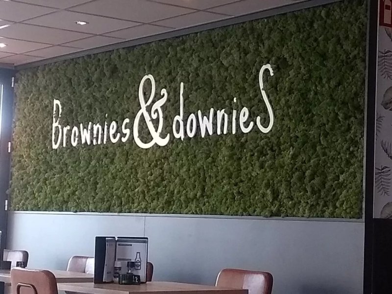Brownies & Downies