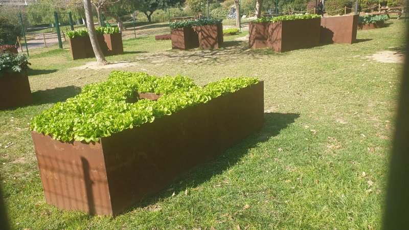 Jardin Esto Nos Salvara