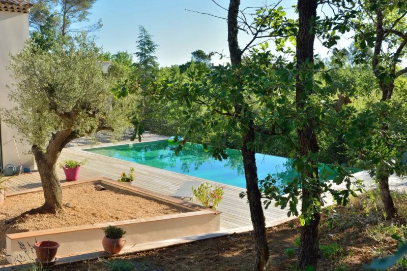 Sous les oliviers en Provence